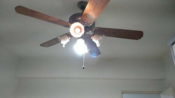 �K���o��