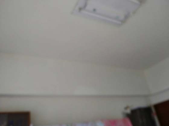 �T���o��