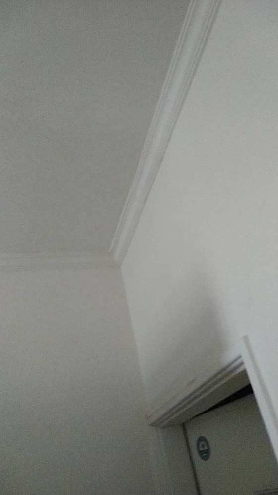 �g���o��