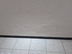 ����o��
